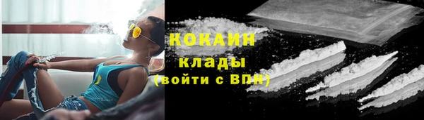 сатива Козловка