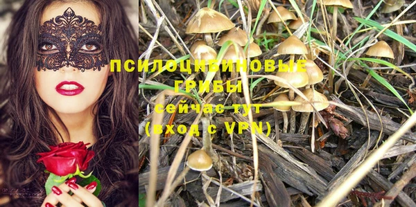 гидропоника Абинск
