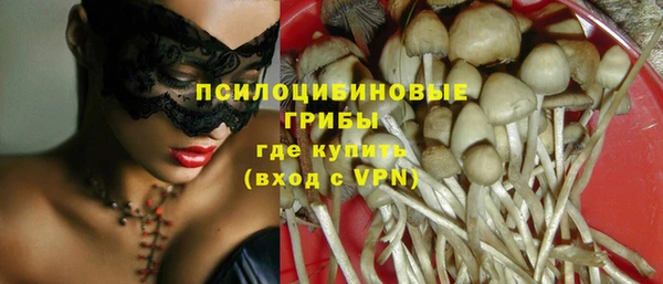 крисы Абдулино