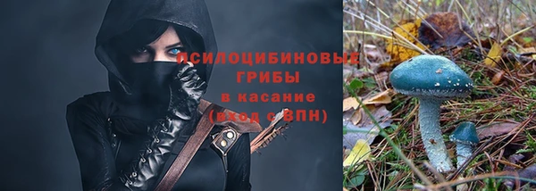 гидропоника Абинск